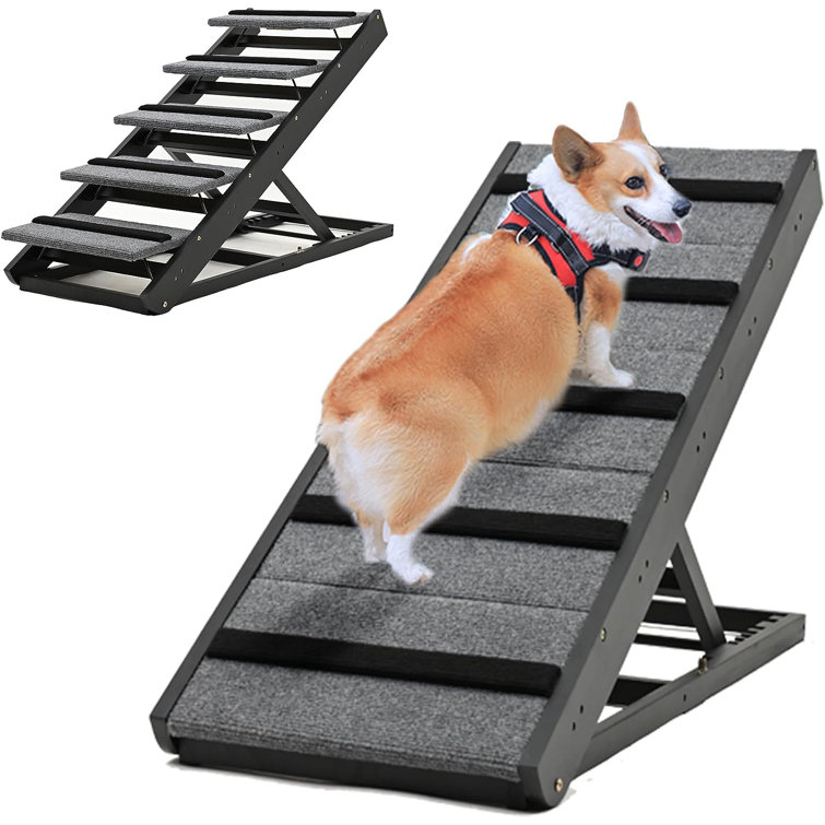 Doggie ladder 2024